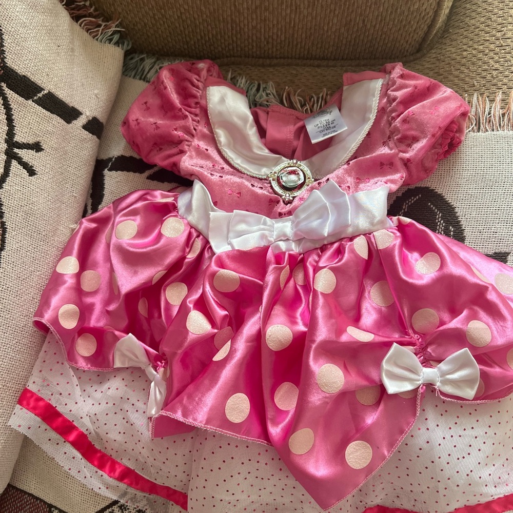 Disney Pink and White Polka Dot Costume